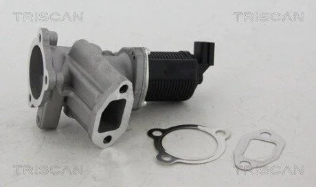 Клапан рецеркуляції відпрацьованих газів OPEL/FIAT/GM TRISCAN 881324012 (фото 1)