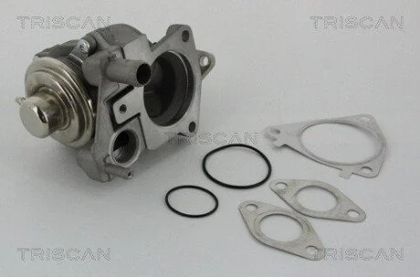 Клапан рецеркуляції відпрацьованих газів PSA TRISCAN 881328019 (фото 1)