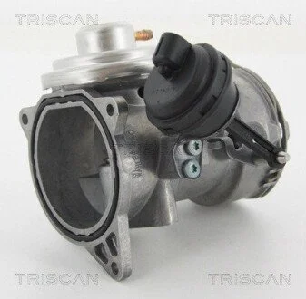 Клапан рецеркуляції відпрацьованих газів VAG TRISCAN 881329070 (фото 1)