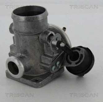 Клапан рецеркуляции отходящих газов VAG TRISCAN 8813 29300 (фото 1)