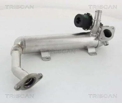 Клапан рецеркуляції відпрацьованих газів VAG TRISCAN 8813 29319 (фото 1)