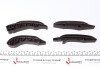 Комплект ГРМ (ланцюг + елементи) BMW TRUCKTEC 0812074 (фото 2)