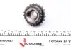 Комплект ГРМ (ланцюг + елементи) BMW TRUCKTEC 0812074 (фото 9)