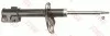 Shock Absorber TRW JGM1046S (фото 1)