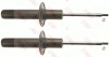 Shock Absorber TRW JGS1066T (фото 1)