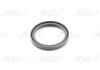 DICHTRING 0B1105245