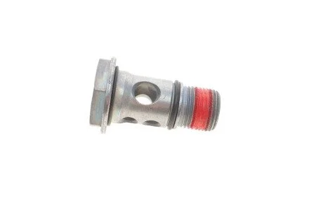 Болт пустотелый Amarok, Caddy, Golf, Jetta, Tiguan, Polo/A1, A3, TT/Fabia, Octavia, Superb 1.6, 2.0 (06-) VAG WHT003496 (фото 1)