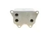 Радіатор масляний SEAT; VW; SKODA; AUDI Van Wezel 03013704 (фото 3)