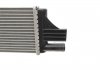 Радиатор (выр-во) Van Wezel 43002559 (фото 3)