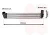 Интеркулер RENAULT MEGANE3 20i/19dCi MT 08- (пр-во Van Wezel) 43004411