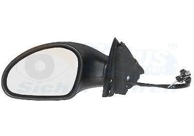 Дзеркало зовнішнє Van Wezel 4917803