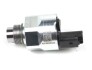 Элемент насоса Common Rail A2C59506225