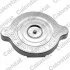 Бачок расширительный MB E-class (W124) 93-95 Vernet ET0116C1 (фото 2)