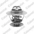 VERNET VOLVO Термостат 87°C 850,S40,S60,S80 91- TH4561.87J