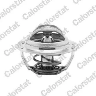 Термостат Peugeot 306 2.0 93-01 (89C) CALORSTAT BY Vernet TH4885.89J