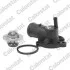 Термостат Skoda Fabia/Octavia1.3/1.4i 94- (87C) CALORSTAT BY VERNET TH6733.88J