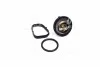 Термостат DODGE/ FIAT/ JEEP (вир-во Vernet) TH7311.95J