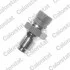 FIAT Датчик температуры воды Panda,Uno 86- Vernet WS2511 (фото 1)