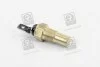 Датчик температуры WS2537