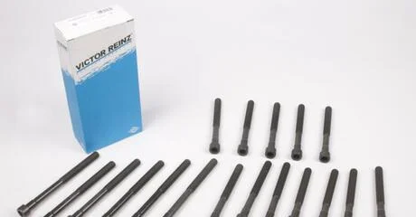 Комплект болтів головки цилідра VICTOR REINZ 14-32032-01