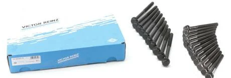 Комплект болтів головки блоку циліндрів 5001001215 RENAULT VICTOR REINZ 14-32096-01
