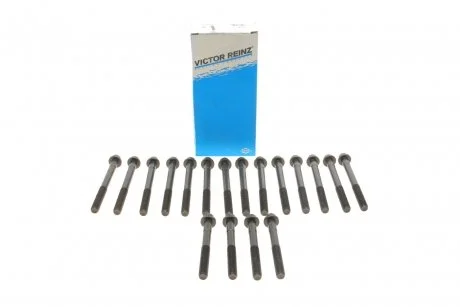 Комплект болтов головки цилидра 9091002080 TOYOTA / LEXUS VICTOR REINZ 145500001