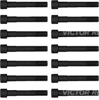 Комплект болтов головки цилидра VICTOR REINZ 14-55065-01