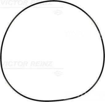 Ущільнююче кільце VICTOR REINZ 407691500 (фото 1)
