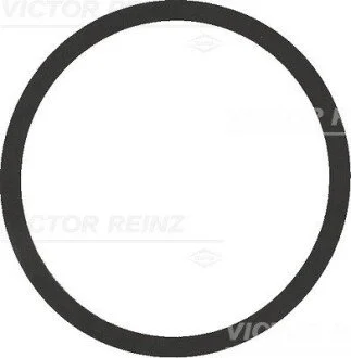Прокладання впускного колектора VICTOR REINZ 40-77542-00