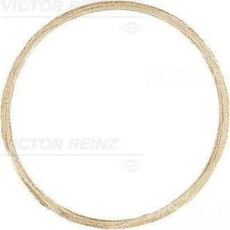 Прокладання колектора BMW VICTOR REINZ 71-11398-00 (фото 1)