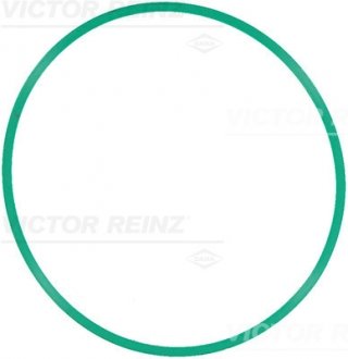 Прокладка впускного колектора VICTOR REINZ 71-12508-00 (фото 1)