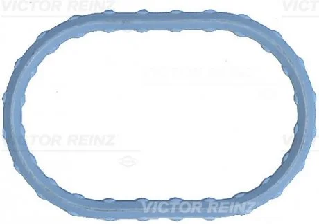 Прокладка впускного колектора VICTOR REINZ 71-17498-00
