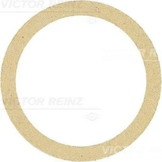 Прокладка колектора двигуна гумова VICTOR REINZ 71-34244-00