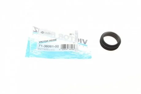 Прокладка впускного колектора AUDI/SEAT/SKODA/VW Ibiza,Leon,Toledo,Octavia,Caddy,Golf,Jetta,Passat VICTOR REINZ 713606100