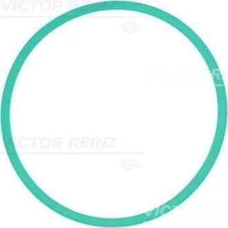 Прокладка впускного колектора VICTOR REINZ 713930200