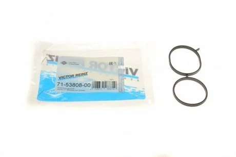 Прокладка впускного колектора REINZ VICTOR REINZ 71-53808-00 (фото 1)