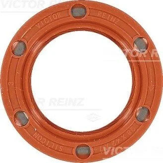 Кольцо уплотнительное VICTOR REINZ 81-33653-10