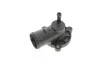 Фланець системи охолодження Skoda Octavia (99-01) (11211544001) vika