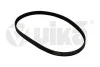 Ремінь поліклінової 6PK1095 (19030598801) VIKA