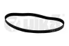 Ремінь поліклінової 6PK906 Skoda Octavia I (1U2) (96-10)/VW Golf IV (1J1) (97-05),Bora (98-05) (19030599301) vika