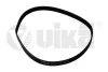 Ремінь поліклінової 6PK1042 (22600870701) VIKA