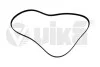 Ремінь поліклінової 6PK1736 Skoda Fabia (07-14,14-),Octavia (04-13)/VW Golf (03-12) (22600870801) vika