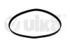 Ремень поликлиновой 6PK1080 (91450860301) VIKA