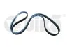 Ремень поликлиновой 6PK1885 3,0L mot.ASN,ASN(03-),BBJ Audi A4 (04-06) (99031775601) VIKA
