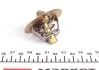 Термоастат (вір-во) WAHLER 3119.82D4 (фото 3)