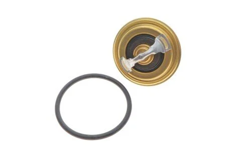 Термоастат WAHLER 410396.82D