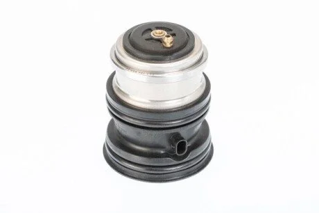 Термостат WAHLER 410448107D