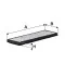 WP10449   (K1294A) WP10449