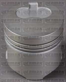 Поршень Citroen Berlingo/Fiat Scudo/Peugeot Partner 1.9D DW8 98- (82.20mm/STD) YENMAK 3103878000 (фото 1)