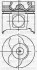 Поршень Renault Megane II/Laguna II 1.9dci 01-07 (80.01mm/STD) 3104183000